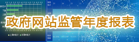 政府網站監管年度報表